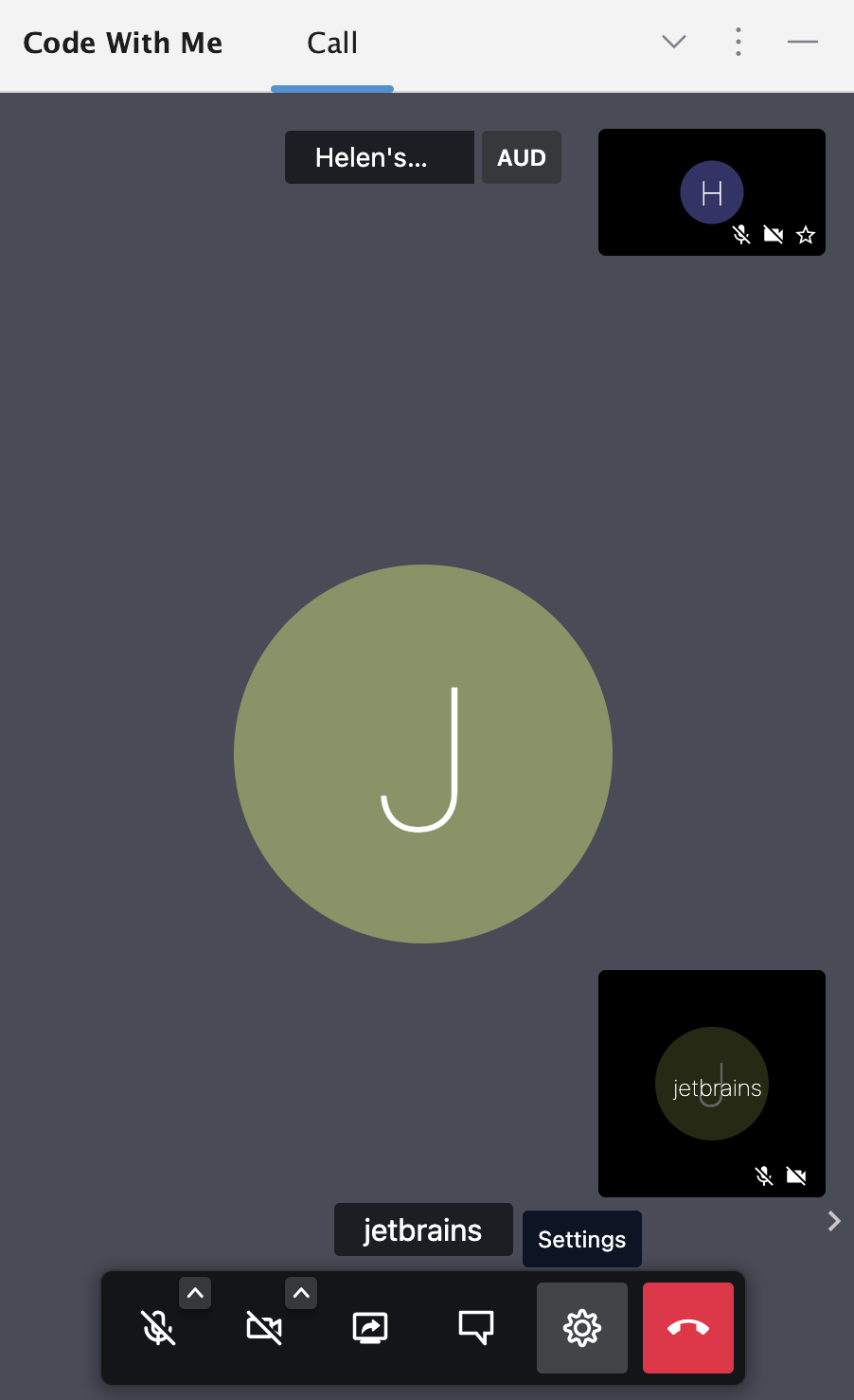 Code With Me 工具窗口 Code With Me 工具窗口