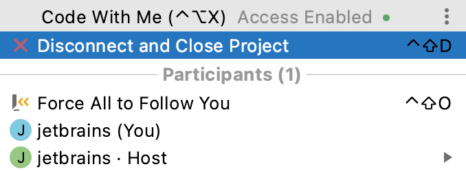 断开并关闭项目 断开并关闭项目