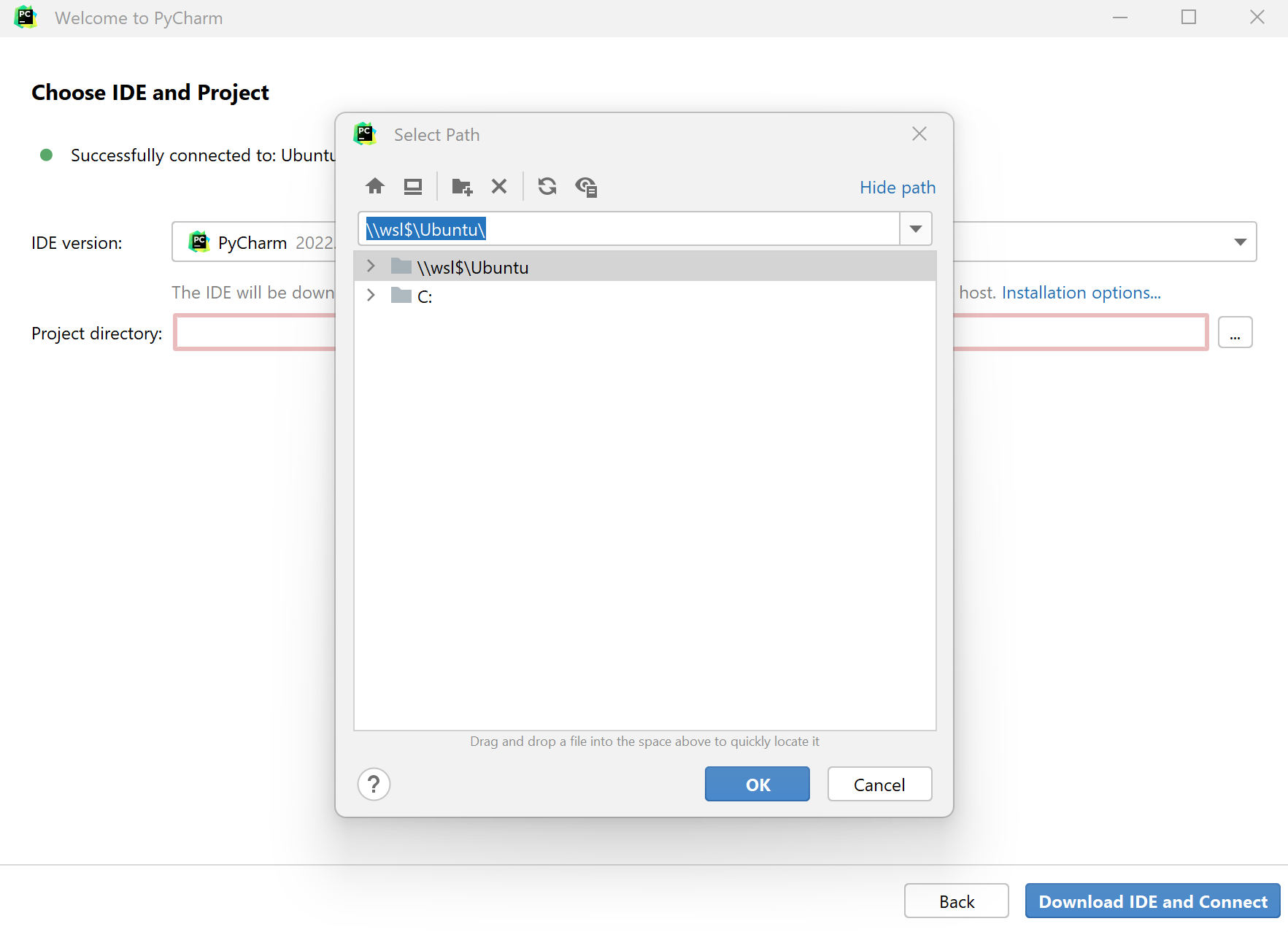 选择IDE版本和项目 选择IDE版本和项目