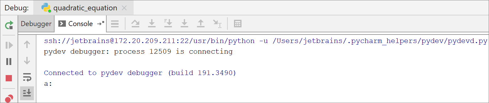 在远程服务器上调试 在远程服务器上调试